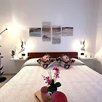 Continenti * 리그나노 사비아도로