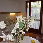 Continenti فيلة