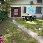 فيلة Continenti