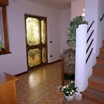 فيلة Continenti
