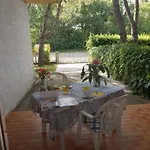 Continenti لينانو سابيادورو