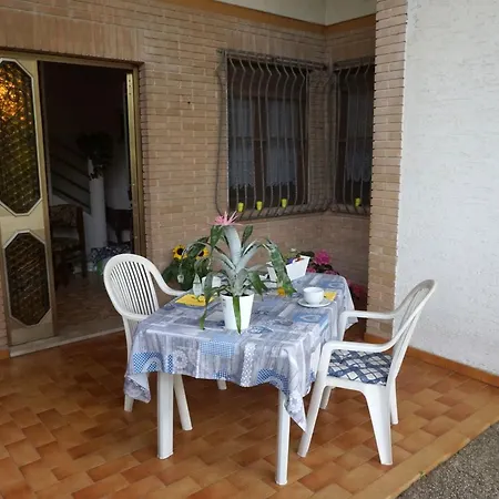 فيلة Continenti
